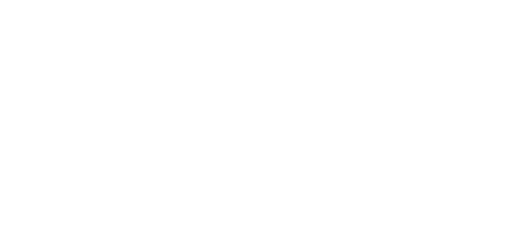 MorningStar Logo